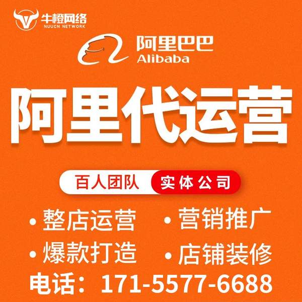 拉萨电商代运营