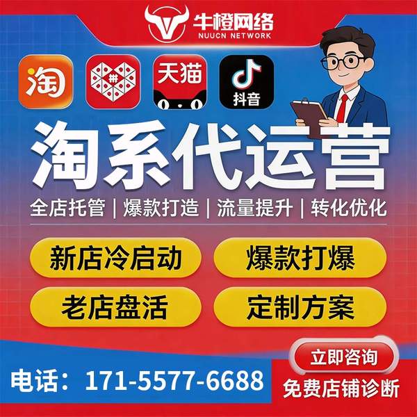 拉萨电商代运营