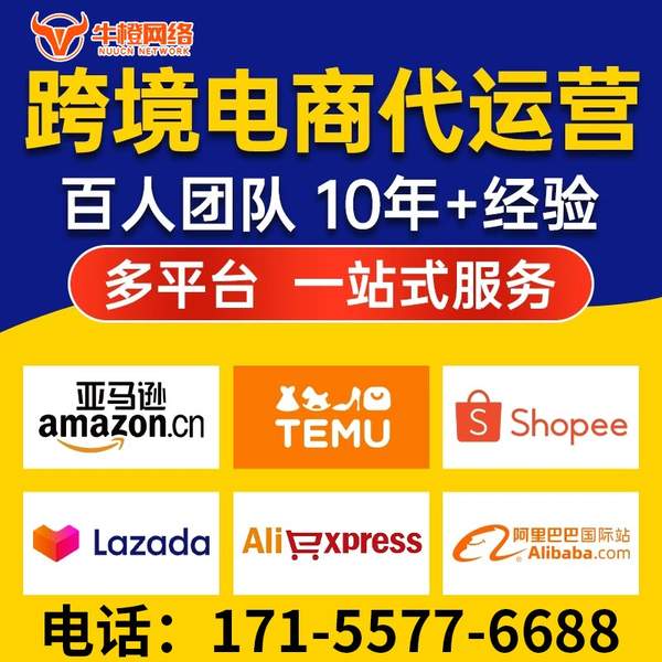 拉萨电商代运营