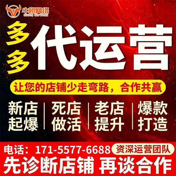 拉萨电商代运营