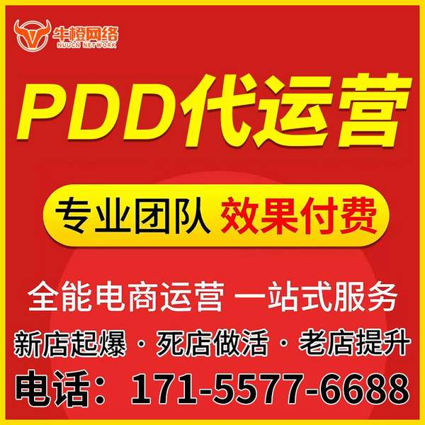 拉萨电商代运营