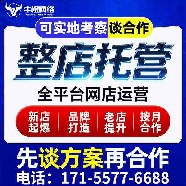 拉萨电商代运营