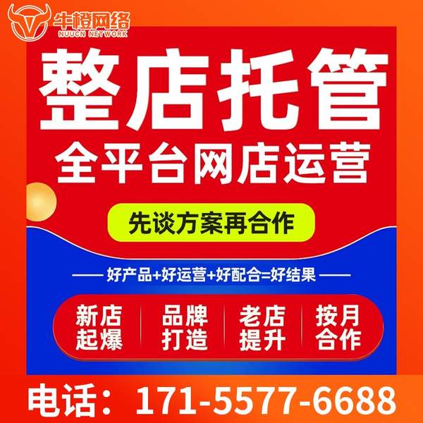 拉萨电商代运营