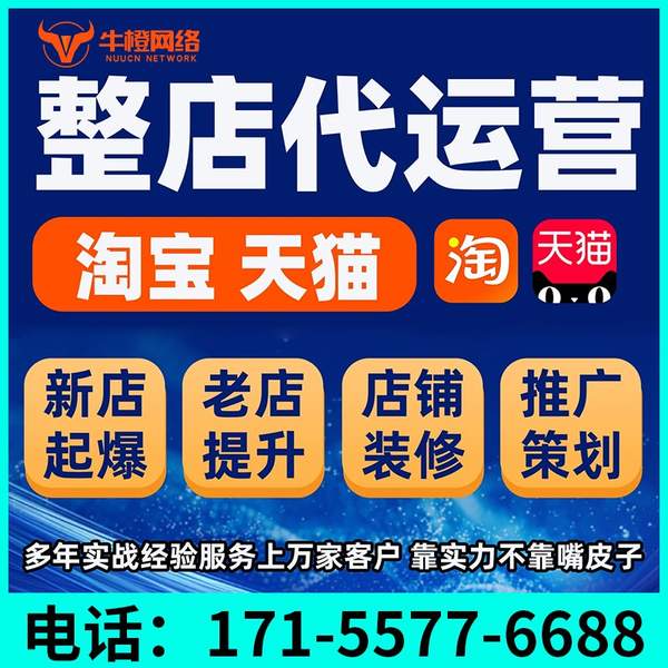拉萨电商代运营