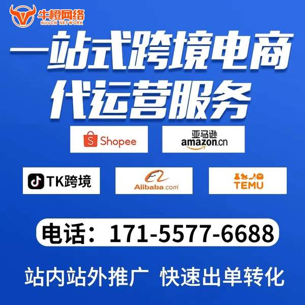 拉萨电商代运营