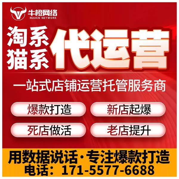 拉萨电商代运营